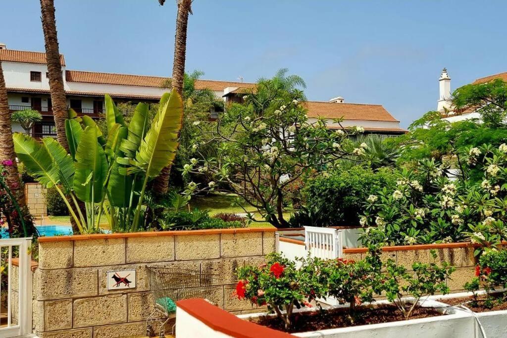 Flordetajinaste Leilighet Puerto de la Cruz  Eksteriør bilde